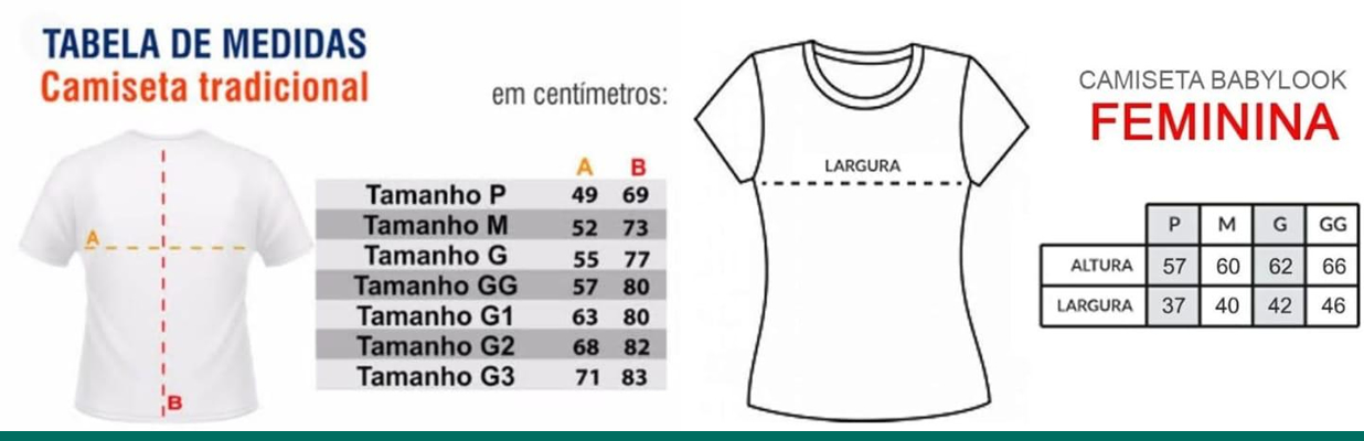 Curso de Ondas de Choque